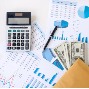 Budgets and Financial Reports